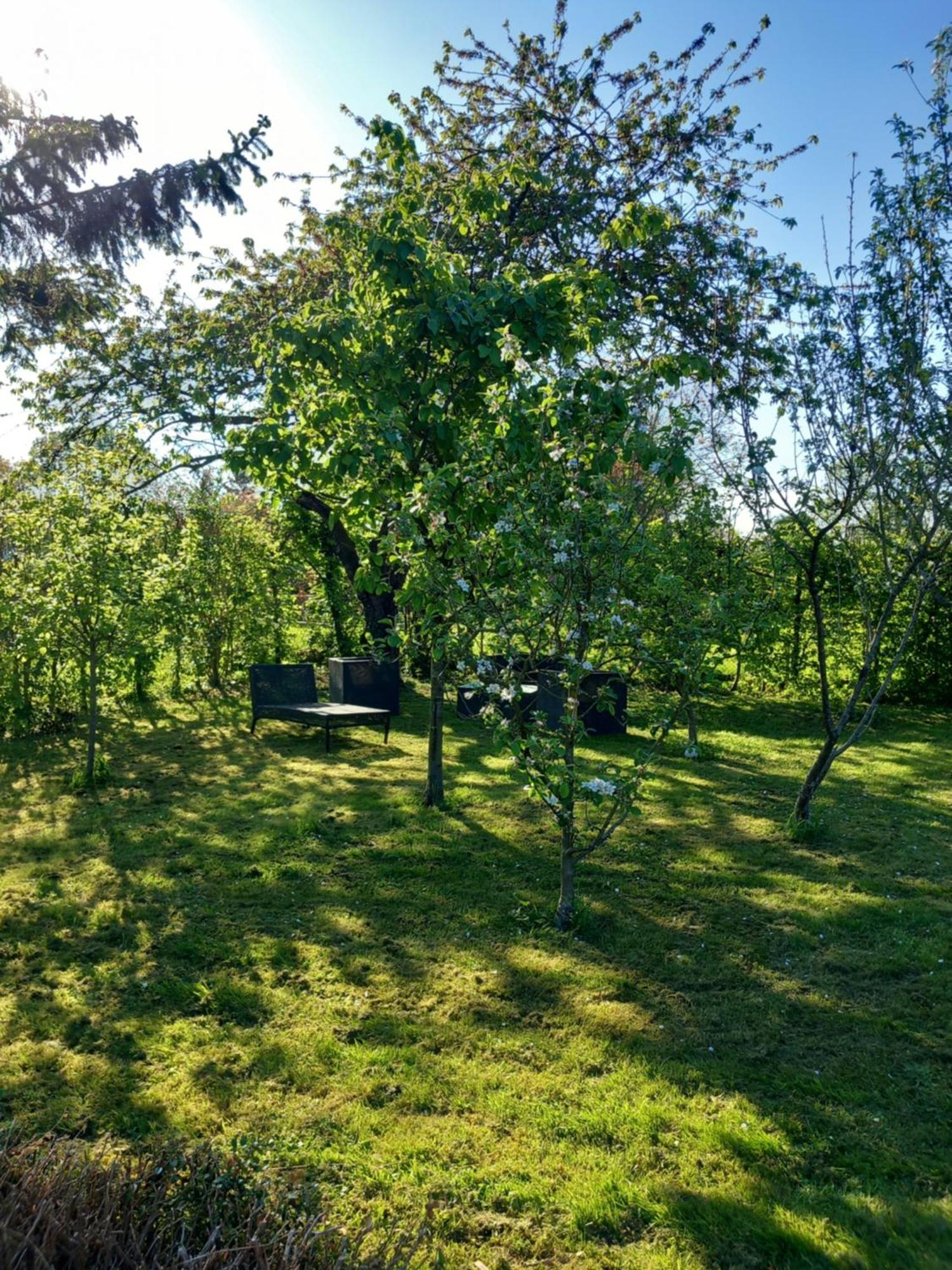Les Oliviers De La Baie Gite- Le Relais De La Baie Millencourt-en-Ponthieu Buitenkant foto
